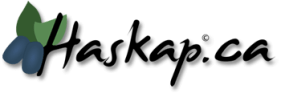 Haskap Canada